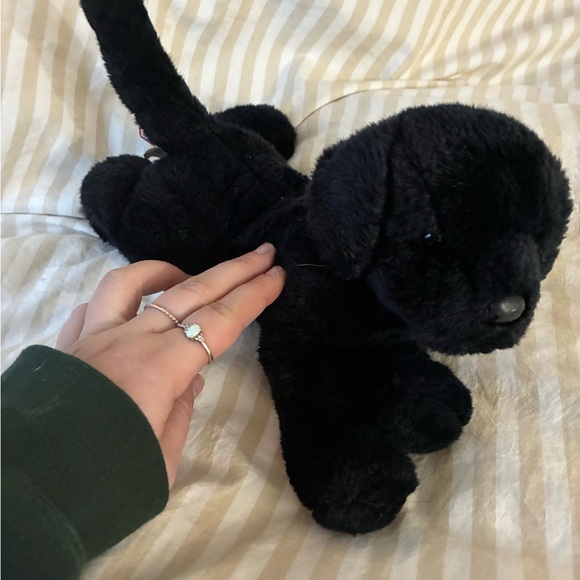Douglas Chester Black Lab Plush Dog Toy Plush Stuffed Animal - Picture 4 of 8
